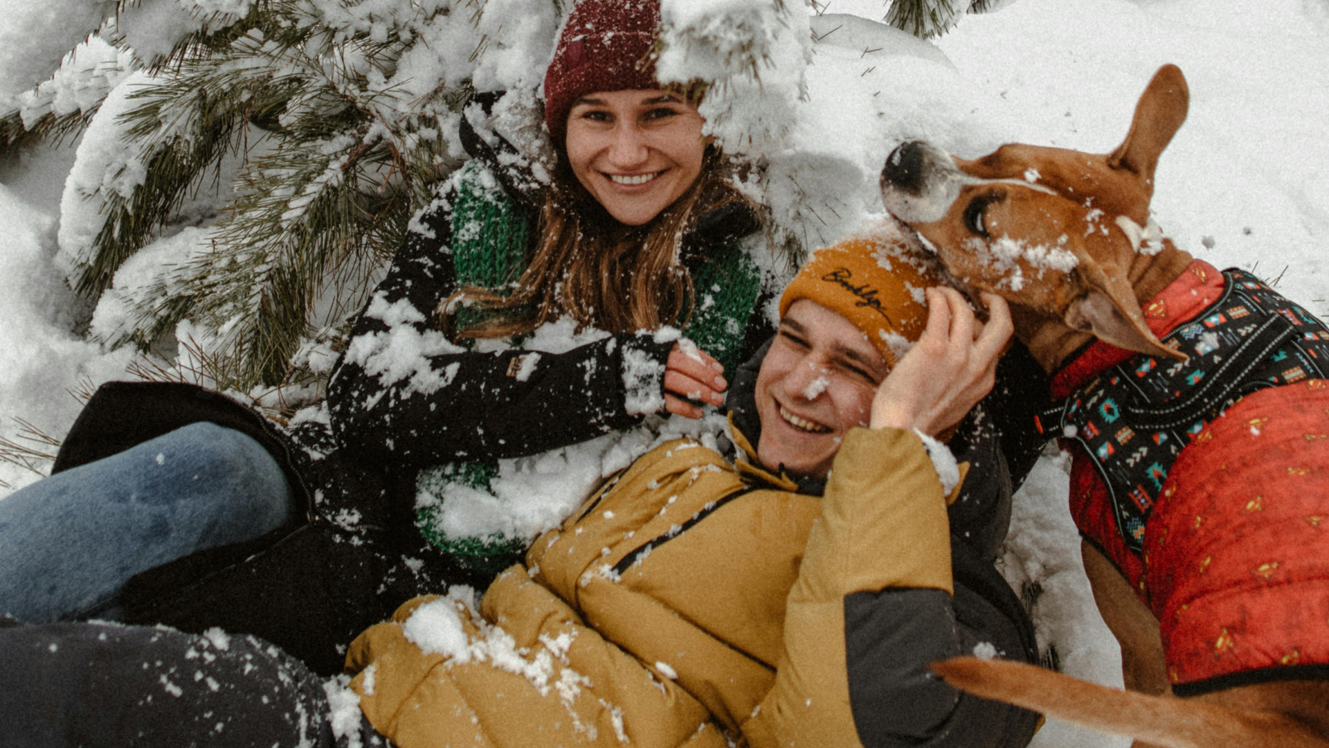 Authentic Scottish Scarves: Luxury 2025 Christmas Gift Guide